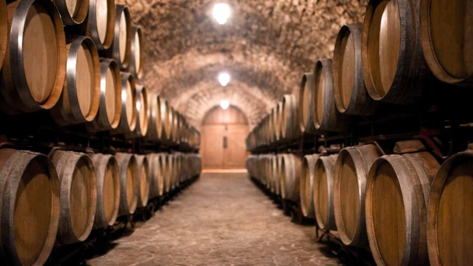 Wineries and Wine Tours in Paleros, Acarnania